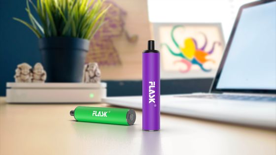 বড়দের জন্য OEM কম্প্যাক্ট 500mAh ডিসপোজেবল ভ্যাপোরাইজার পেন কিট